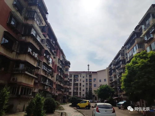 新镇北王短剧全集免费观看资讯之北镇新苑图片精选--第1张