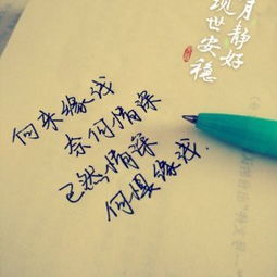 遇见你深情难送离短剧免费观看资讯，遇见你情深缘浅全文阅读--第1张