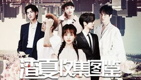 总裁闪婚，破镜重圆免费观看资讯--第1张