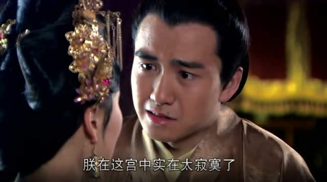 忠臣之路，赵慧楠短剧全集免费观看资讯--第1张