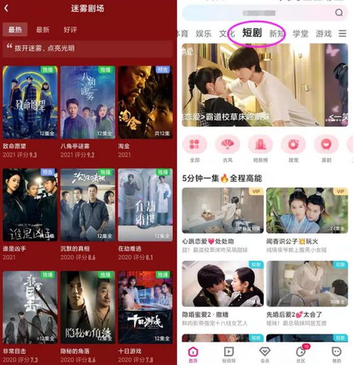 接招吧殿下短剧全集免费观看资讯在线试听--第1张