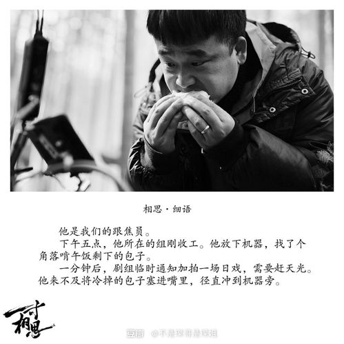 莫欺少年穷短剧免费观看平台资讯--第1张