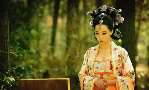 穿越古代当驸马短剧全集免费观看资讯--第1张