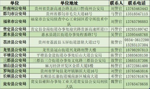 月光姐姐回来了，短剧全集免费观看的最新资讯--第1张