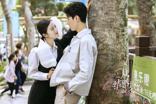 离婚后开始恋爱连续剧 离婚后开始恋爱短剧全集免费观看资讯 --第1张