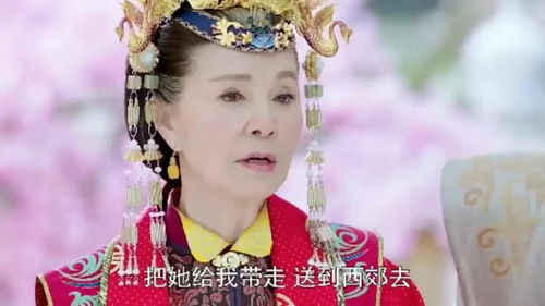 我的贴身侍卫短剧全集免费观看资讯 我的贴身侍女完结了吗 --第1张