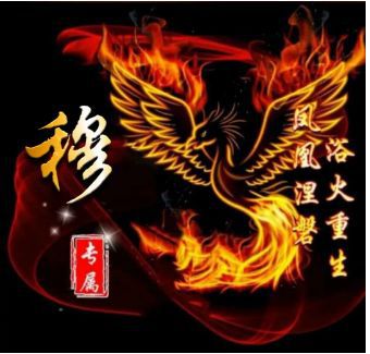 重生之凤凰涅磐免费观看资讯--第1张