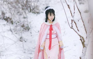 春雪落无声短剧全集免费观看资讯 小说春雪 --第1张