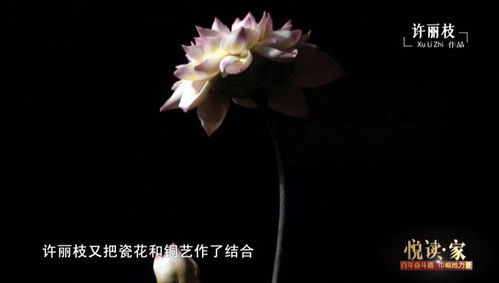 时光清浅,静待花开 时光静待花开短剧全集免费观看资讯 --第1张