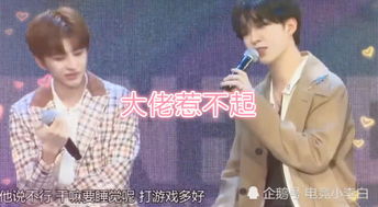 前妻大佬惹不起短剧全集免费观看平台资讯--第1张