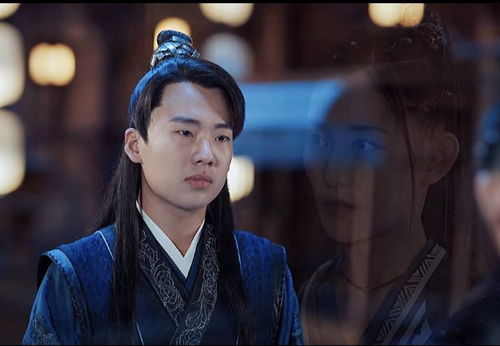 赘婿大结局讲的是什么_赘婿大结局是好是坏--第1张