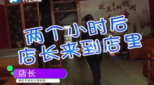 绩效惹的祸，全集免费观看资讯--第1张