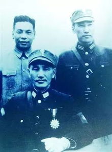 少将大人请立正免费观看，少将大人轻轻宠短剧全集免费观看资讯--第1张