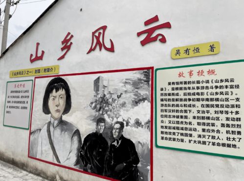 我要乡村电视剧 乡村风云之我要当村长 --第1张
