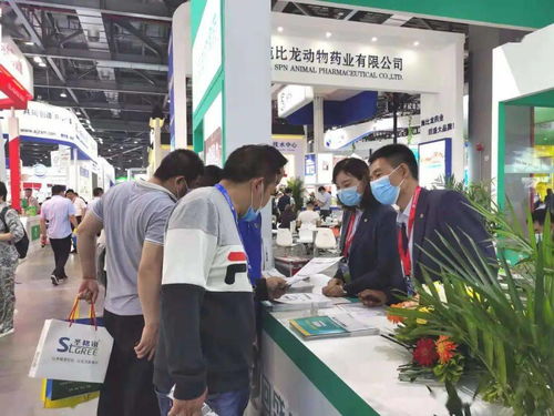 消失的他回来了，短剧全集免费观看资讯--第1张