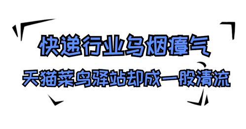 不虚此行短剧全集免费观看资讯--第1张