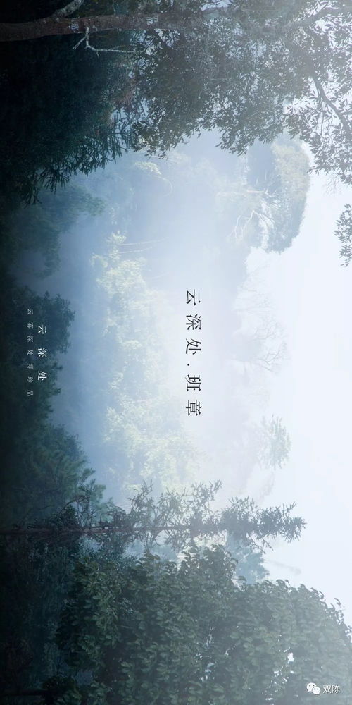 云深见朝阳全集免费观看资讯，陈政阳伍怡桥短剧全集在线观看--第1张