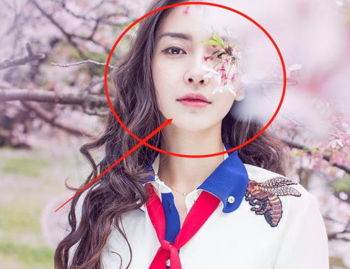 苏少夫人又惊艳全球了，离婚风波在线免费观看--第1张