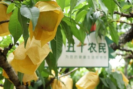 财迷萌妻超难哄 财迷萌妻短剧在线免费观看全集资讯 --第1张