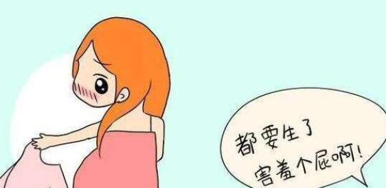 一胎四宝爹地跪在产房痛哭流涕新命中注定我爱你短剧在线免费观看全集资讯  --第1张