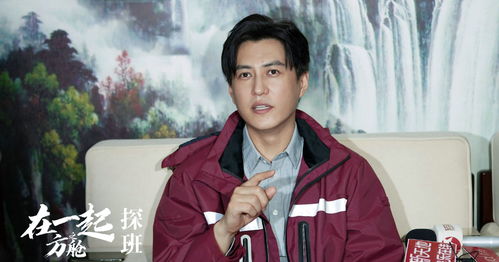 顾总复婚记，顾总以死相逼求复婚短剧在线免费观看全集资讯--第1张