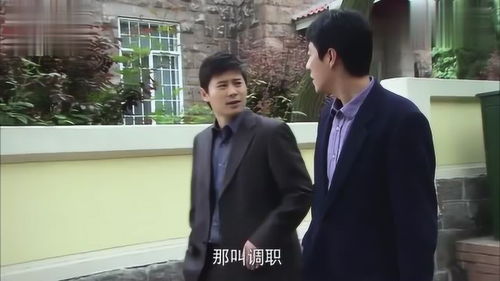 租的男朋友是千亿富豪的电视剧 租来男友竟是千亿总裁短剧在线免费观看全集资讯 --第1张