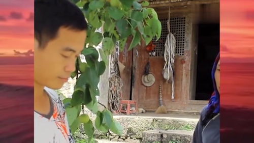 植物人妻子躺了13年短剧在线免费观看资讯--第1张