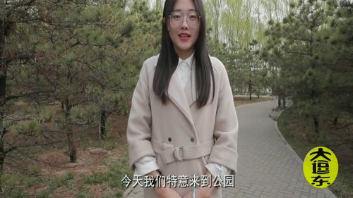 傅太太征婚记，傅总太太再战婚姻市场--第1张