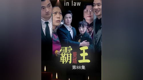 霸王主演 霸王短剧，在线免费观看全集资讯 --第1张
