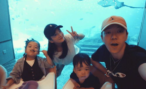 爱不单行离婚后霍总跪求复婚免费在线观看全集资讯--第1张