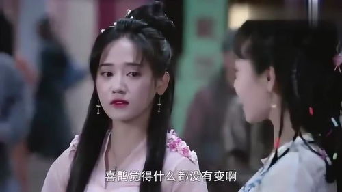 穿越女遇上重生太子妃，穿越男女交织的奇妙爱情故事--第1张