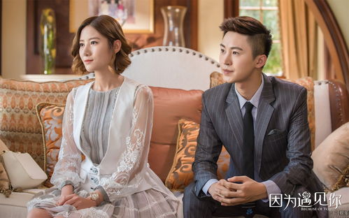 因为遇见你免费全集在线观看--第1张