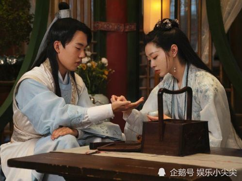 赘婿天子短剧在线免费观看全集资讯 《赘婿》在线播放免费天寒 --第1张