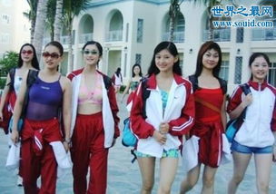 合租高手，大小姐组合的短剧在线免费观看全集资讯--第1张