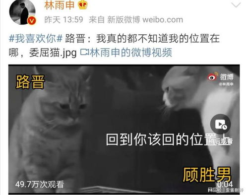 顾总别虐好好宠短剧在线免费观看全集资讯 顾总别凶 --第1张