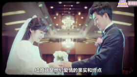 霸道总裁追妻火葬场，虐完我霸总哭着求复合--第1张