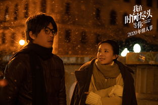 陪你到时光尽头，全集在线免费观看及演员表--第1张