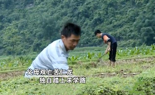跪在亲人坟前忏悔，重生后的人生--第1张