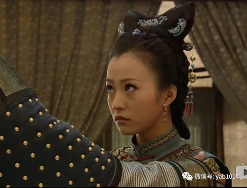 少年天子，免费观看全集--第1张
