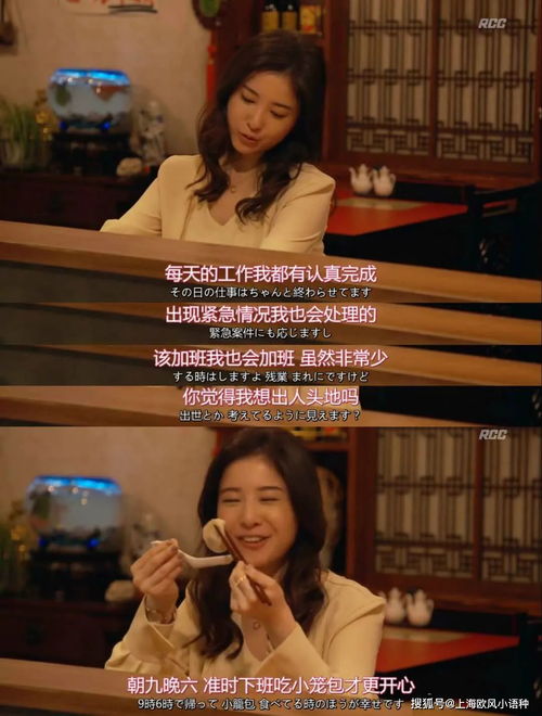 电视剧 打工的人 打工人的最强身份短剧——在线免费观看全集资讯 --第1张
