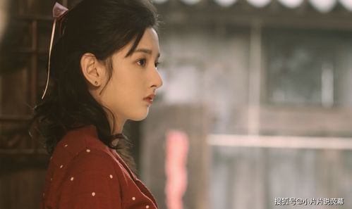 如果我没爱过他，张璇短剧在线免费观看全集资讯--第1张