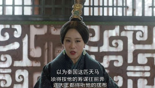 秦总夫人说她是女帝短剧在线免费观看全集资讯 秦总,秦夫人在生产时大出血 --第1张