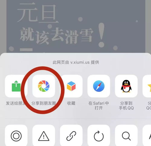 延迟告白短剧，独家全集--第1张