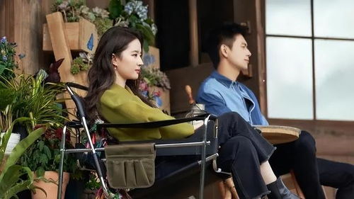 巅峰丐婿，从被美女姐姐捡回家开始--第1张
