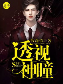 无上神瞳，透视鉴宝大师--第1张