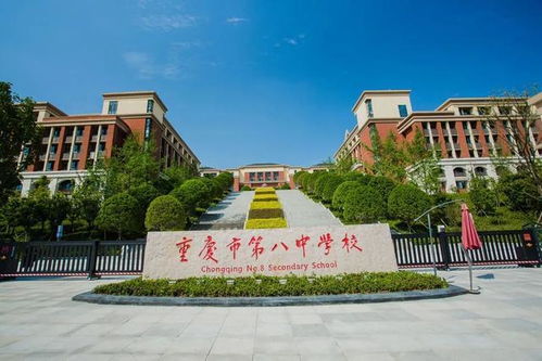 真千金横扫职场，真千金凭实力称霸，在线免费观看全集资讯--第1张