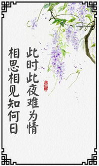 相思不似相逢好，在线免费观看全集资讯--第1张