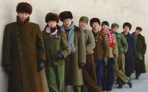少帅不可以免费阅读 短剧在线免费观看全集的详细介绍--第1张