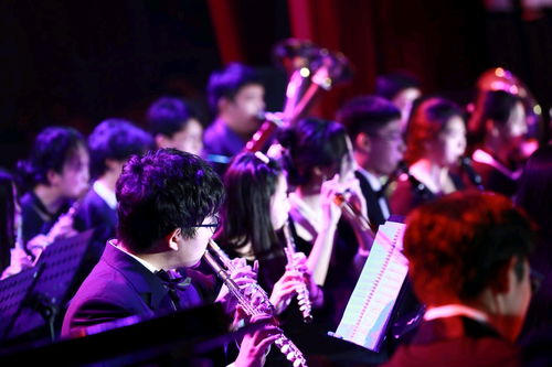 夜色将晚歌词 夜色将明短剧在线免费观看全集资讯 --第1张
