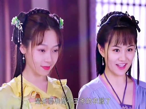 霸道王爷的丫鬟娇妻穿越剧短剧在线免费观看全集资讯 小说霸道王爷 --第1张